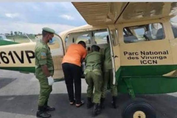 Photo d'illustration. 