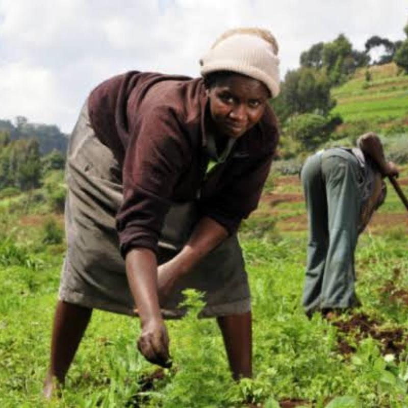 Photo d'illustration. 