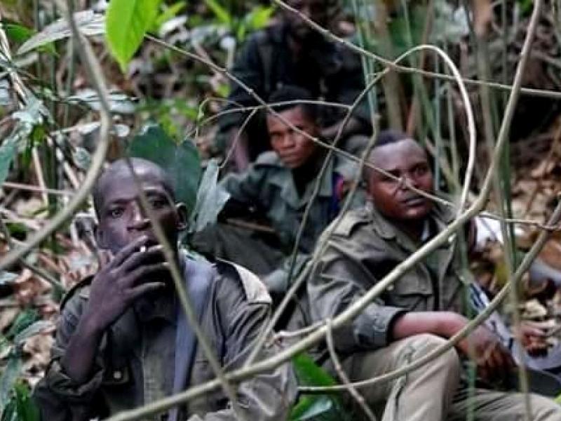 Quelques éléments d'un groupe rebelle 