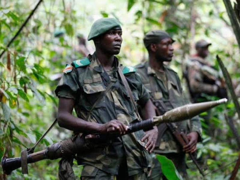 Les rebelles ougandais des ADF. 