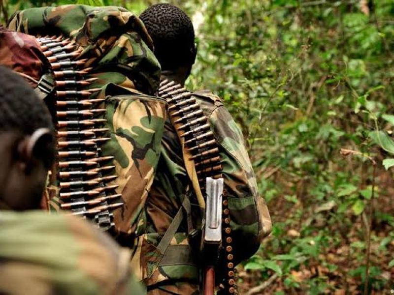 Des rebelles ougandais dans un campement. Ph. tiers. 